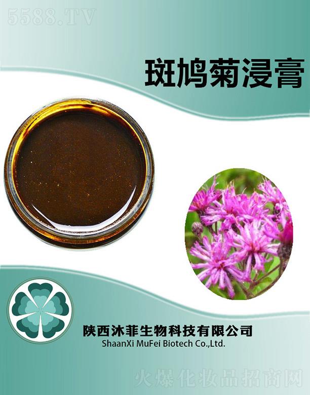 ����������Ƽ����޹�˾����ư��F�ս���