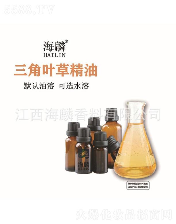 ���������~�ݾ���