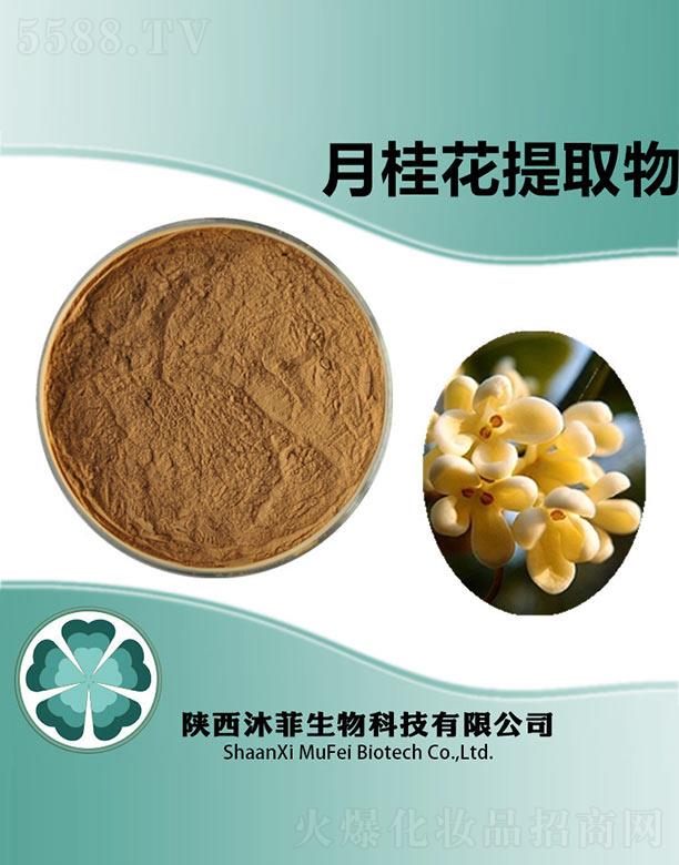 ����������Ƽ����޹�˾������¹���ȡ��