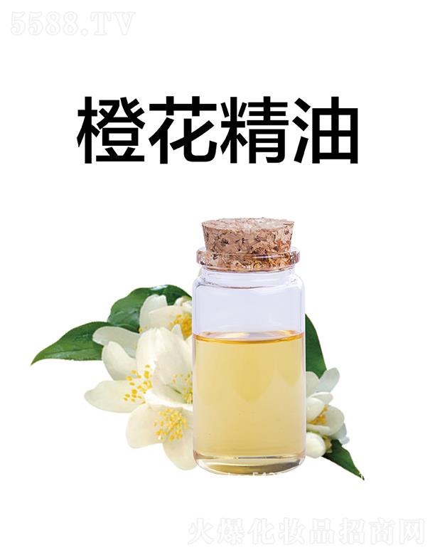 ���óȻ�����