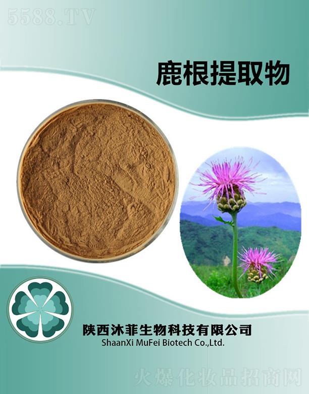 ����������Ƽ����޹�˾�����¹����ȡ��