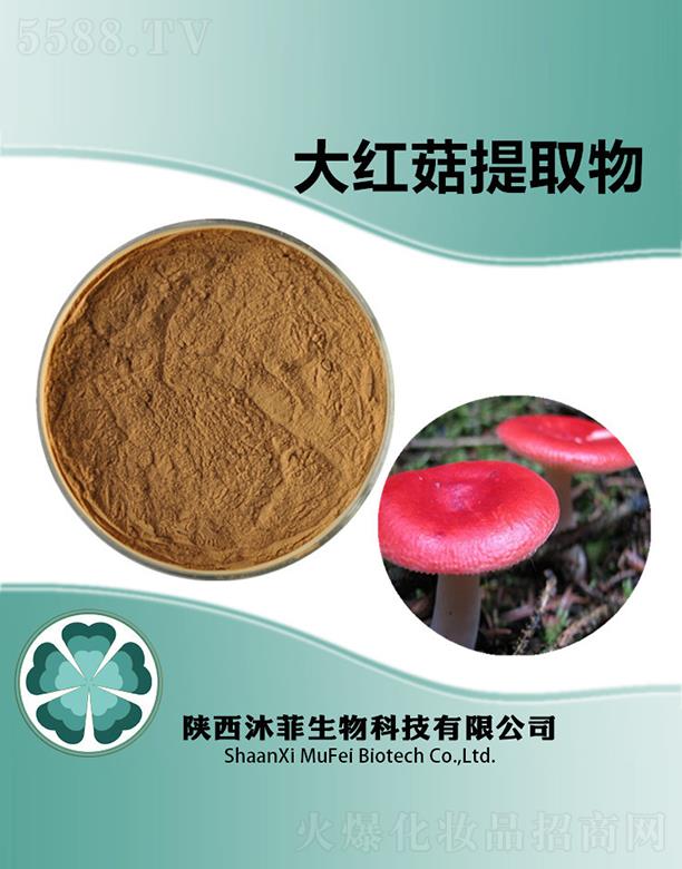 ����������Ƽ����޹�˾����ƴ�t����ȡ��