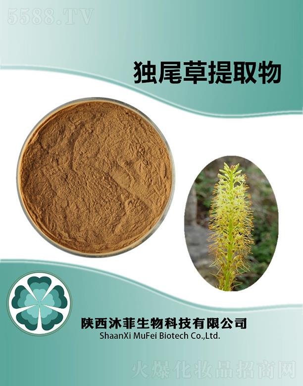 ��ƪ�β����ȡ��