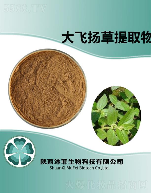 ��ƴ��w�P����ȡ��