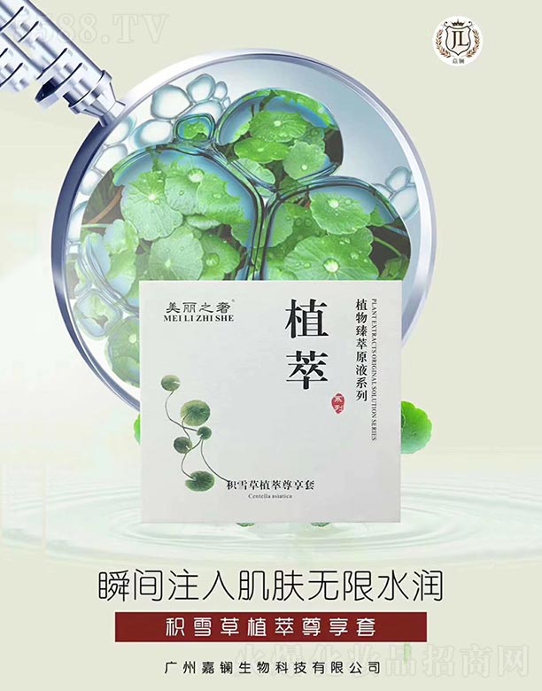 ��ľ���ݷeѩ��ֲ��������