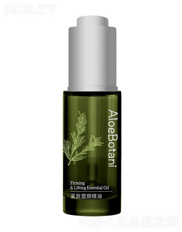 �o�������