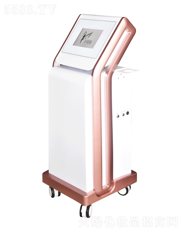 ���������w����x