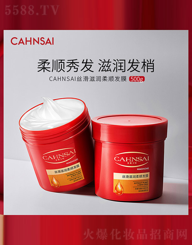 CAHNSAI�z���̝�(r��n)��혰l(f��)Ĥ 500g