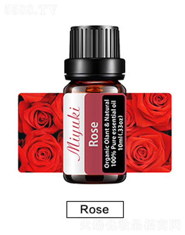 �o�w��޹��Ħ��-Roseõ��