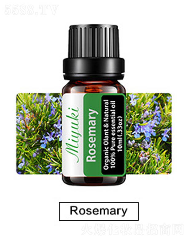 �o�w��޹��Ħ��-Rosemary�_˹����