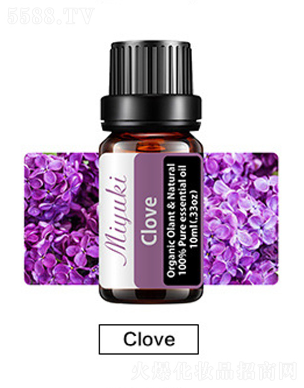 �o�w��޹��Ħ��-Clove����