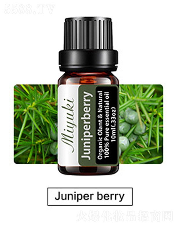 �o�w��޹��Ħ��-Juniper berry������