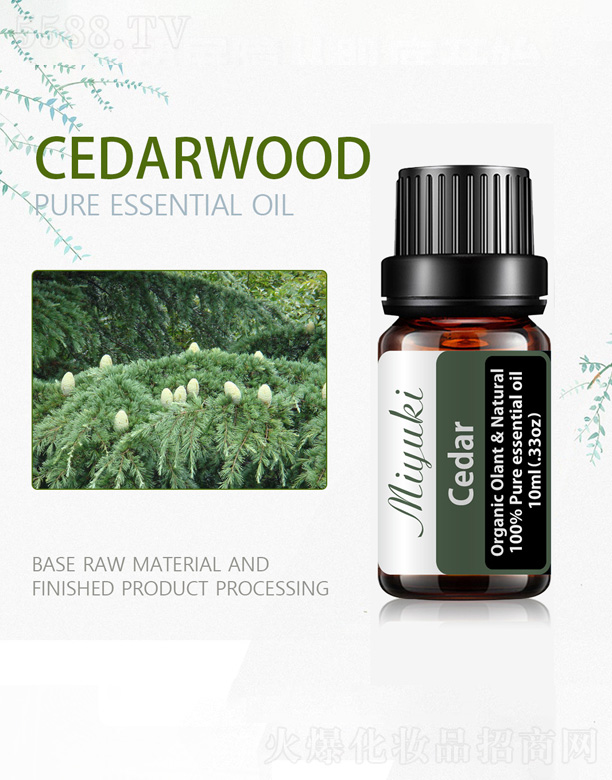 ѩ�Ɇη�����