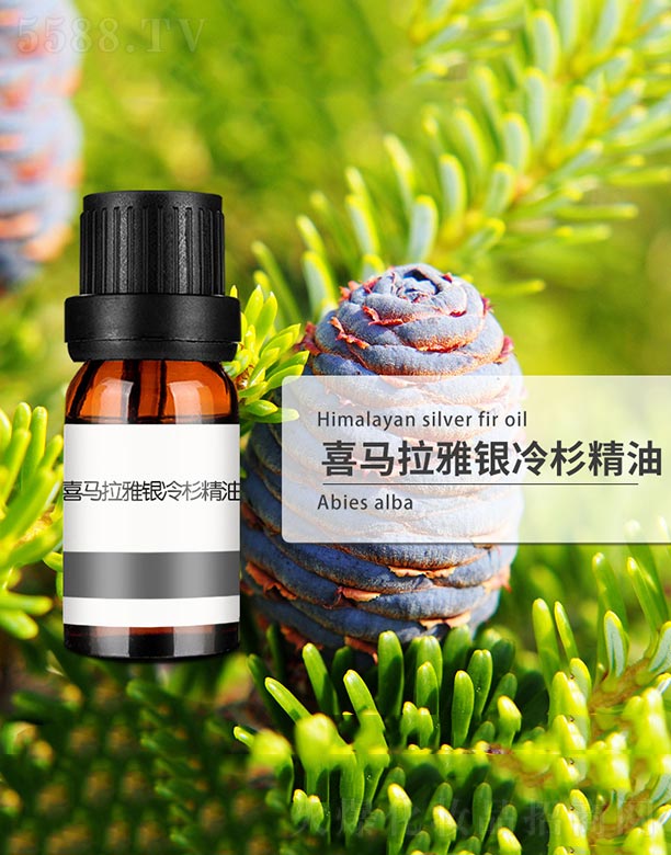 ϲ�R�����y��ɼ����