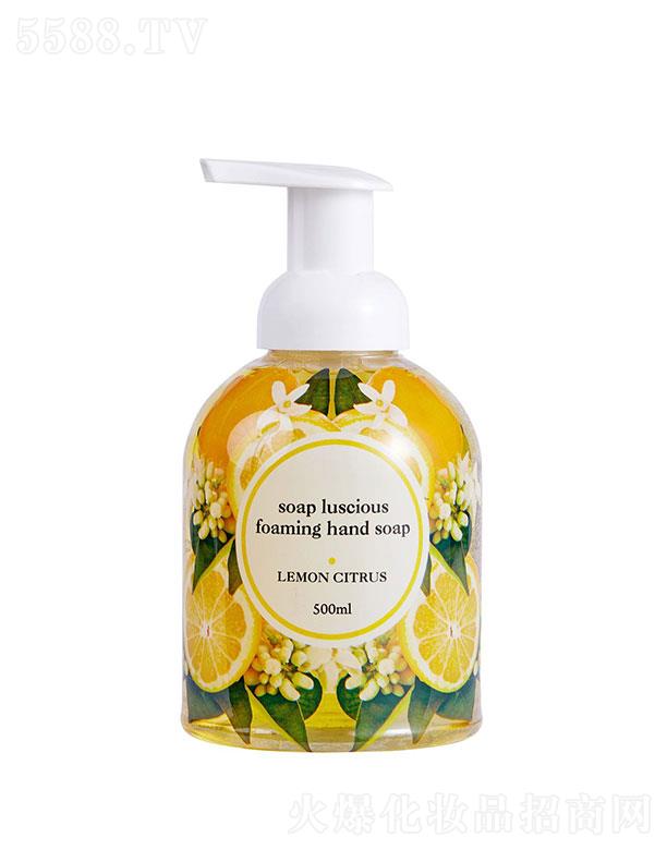 ���ŵ�(    ���ŵ�ϴ��Һ   �坍�o�w