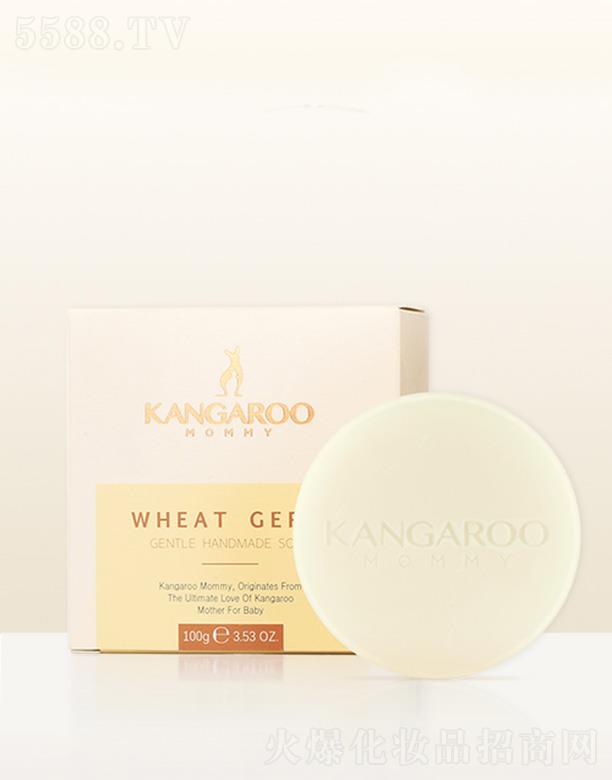 ���󋌋�С����ѿ�坙���w�� 100g�ӌ�ጷ�����ˮ���x�輡�wˮ������