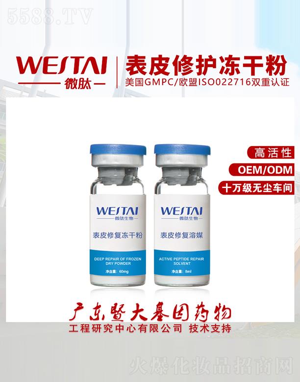 ΢�ı�Ƥ���o���ɷ� �߻���