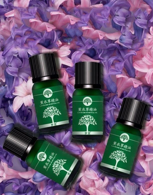 ޹�²ݾ��� ƽ�⼡�w