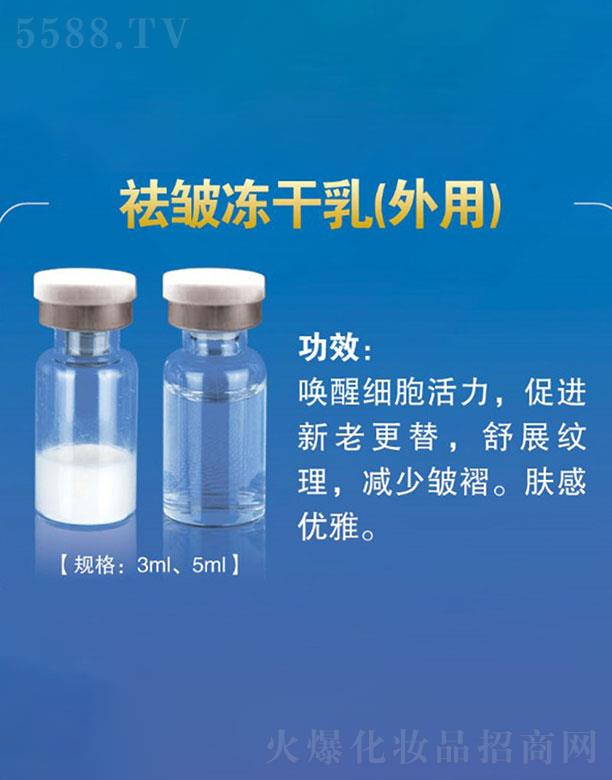 �V�ݳ�����  �����ٿ�˥����������   �p�ٰ��y