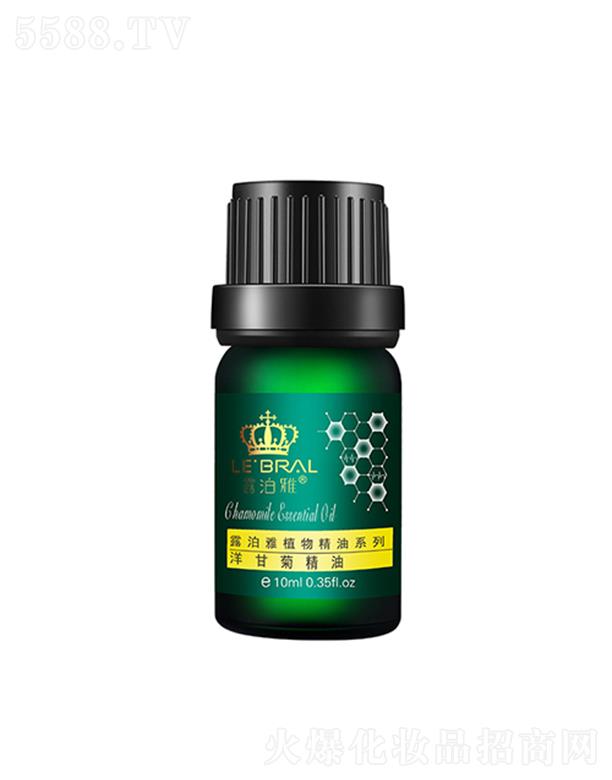 ¶������ʾվ���