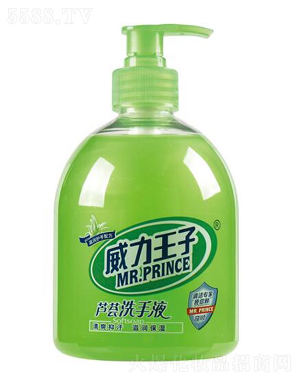 ���������J�C��(r��n)�wϴ��Һ 500��