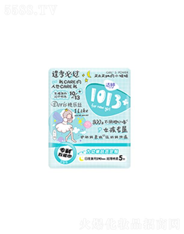 ����1013+-��ҹ��290