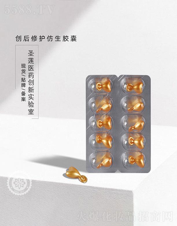 �V��ʥɏ   ʥɏ��(chu��ng)�����o�����z��   ���o���w