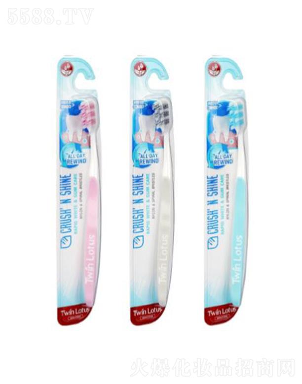 �pɏ�ŝ���Ħ��ˢ