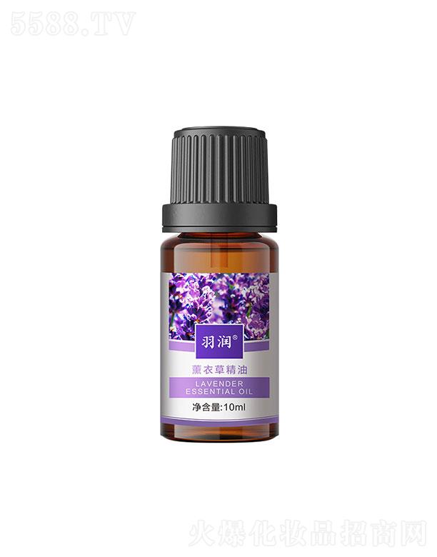 ��޹�²ݾ���