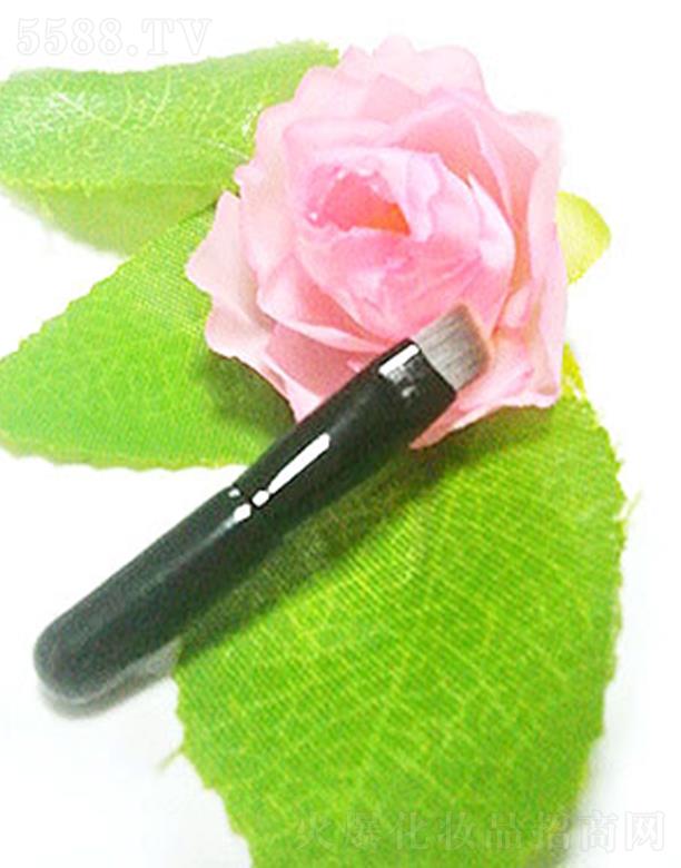 �R���_(d��)�ʊyüˢС��