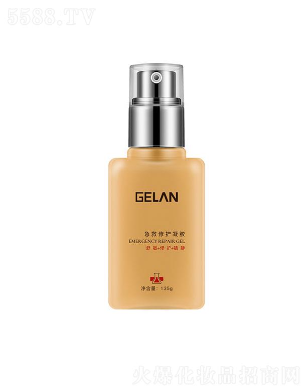 ���{�����ޏ����z