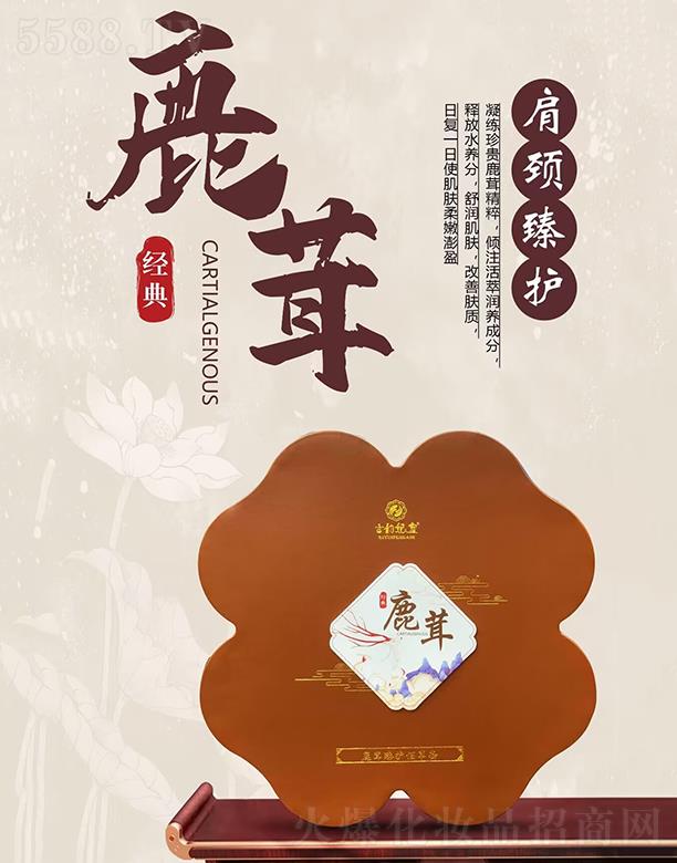 �������¹�����o�۲���