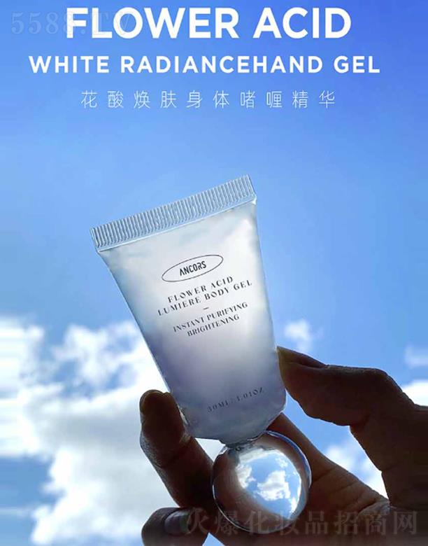 ANCORS���៨�w���w��ା��A