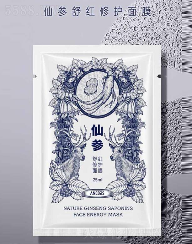 ANCORS�Ʌ���t���o��Ĥ