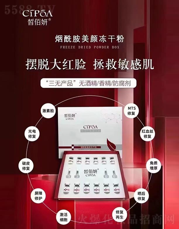 ��������ޏ̓��ɷ�