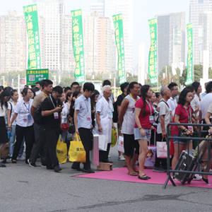 2019�������I(y��)���[�����𱬾W(w��ng)�F��������ң�