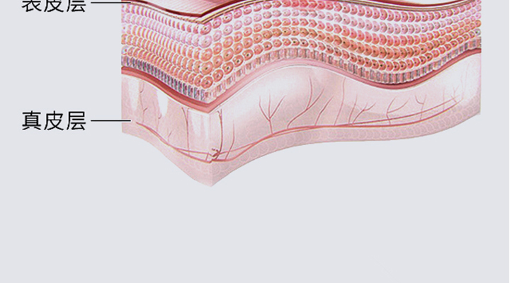 �������o��Ĥ_13