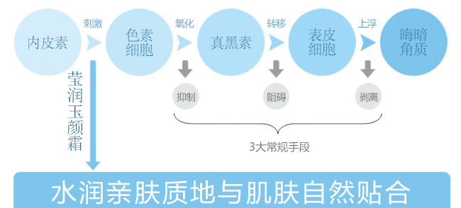 �����߬������˪