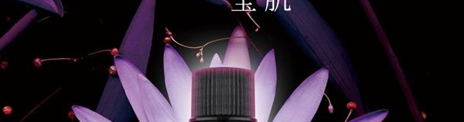 �����_(d��)���(sh��)����