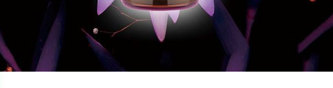 �����_(d��)���(sh��)����