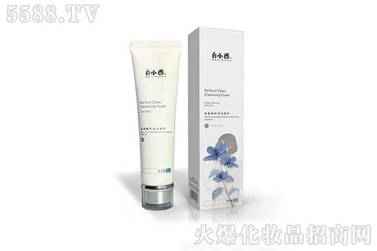 白小西氨基酸潔面乳 白小西氨基酸潔面乳
