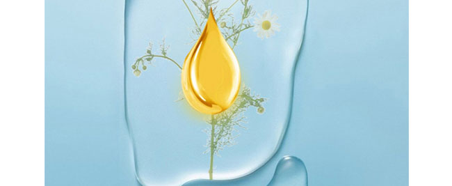 �nԊȪ��Ŀ���ʾ���