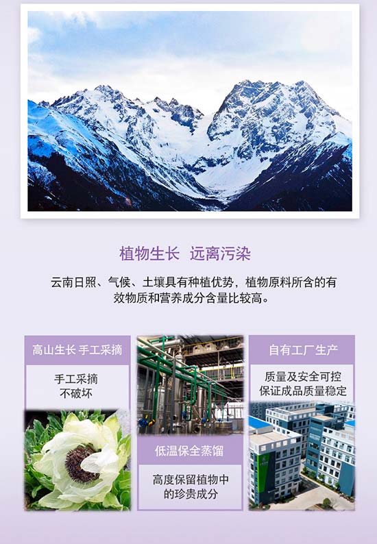 �S�c�ʗ�ѩɏ����͸������˪