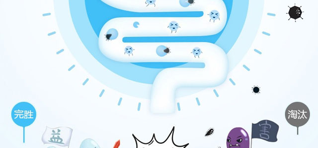 益生菌固體飲料 益生菌固體飲料