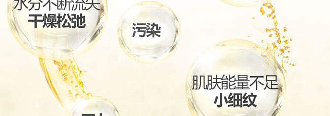 ���������o(h��)˪