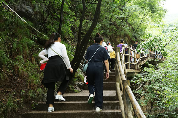 領(lǐng)略國學之美,感悟人生智慧 領(lǐng)略國學之美,感悟人生智慧