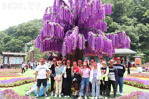 ���h�F�@�Ͼ�ɽ���y�������֮��