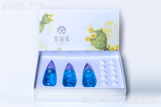 香錦緣仙人掌活氧套 香錦緣仙人掌活氧套