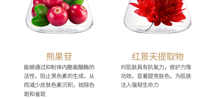 ���ǉ�(m��ng)�ɼ���͸�B(y��ng)�o(h��)��