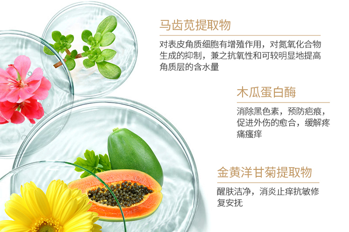 �����˪_12